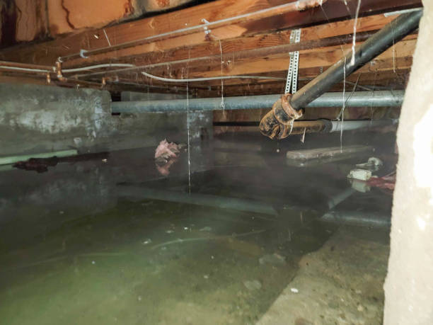 Best 24/7 water damage repair  in Mcgregor, TX