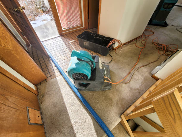 Best Professional water damage repair  in Mcgregor, TX