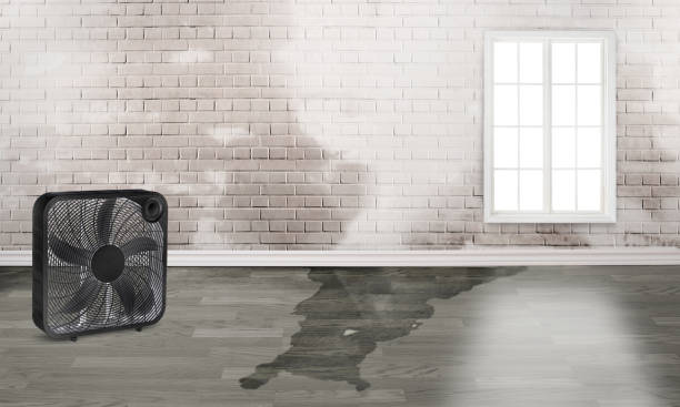Best Residential water damage restoration  in Mcgregor, TX
